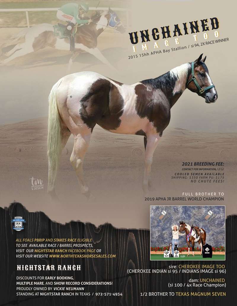 Paint Stallion Directory for Texas