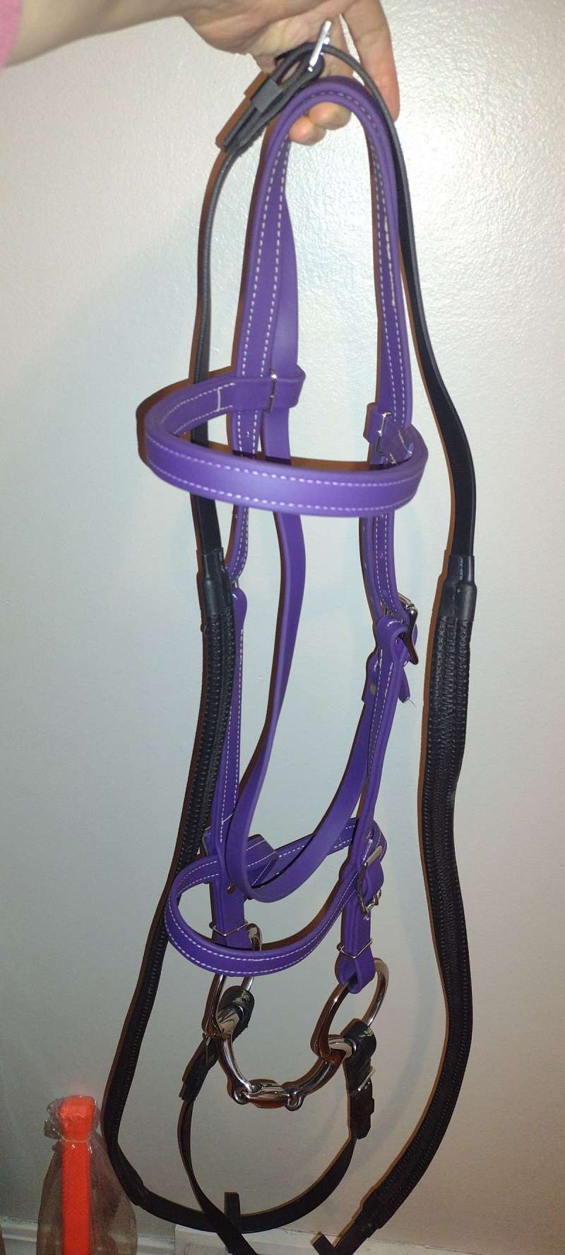 Used Halters for Sale
