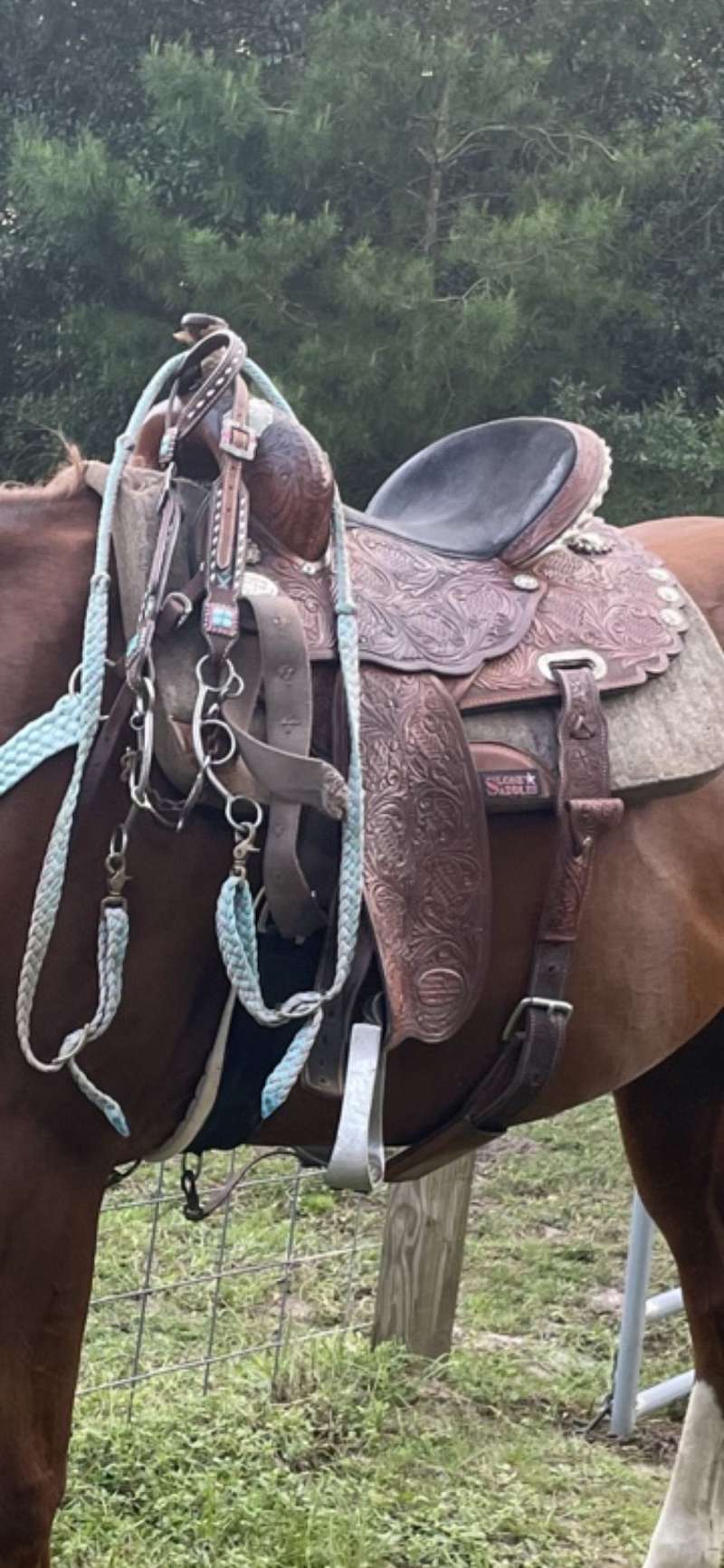 Barrel Racing Saddles For Sale   Brown Circle Y Saddle 