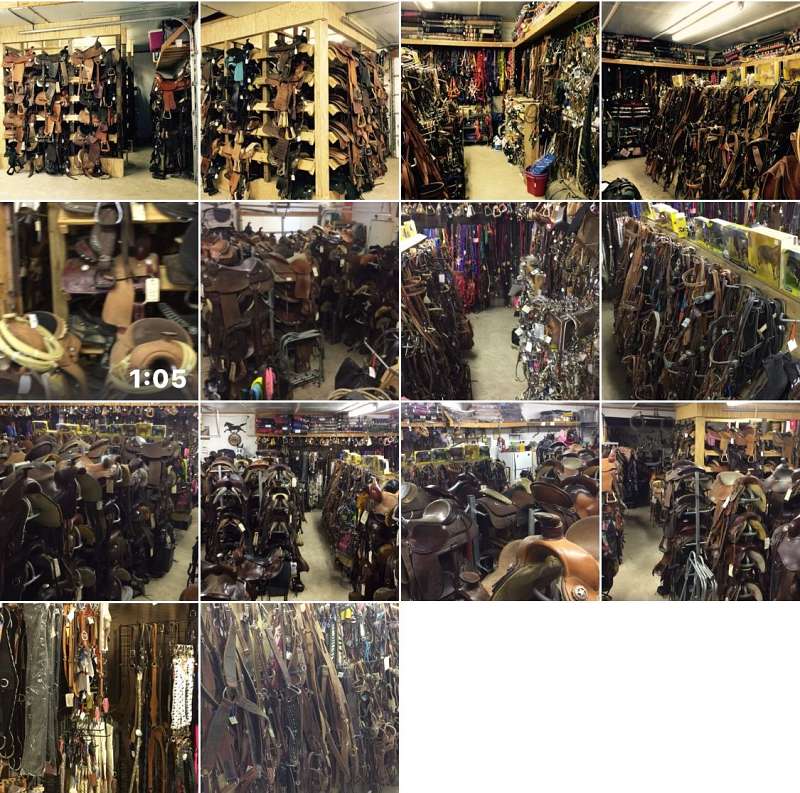 Circle Y Saddles for Sale